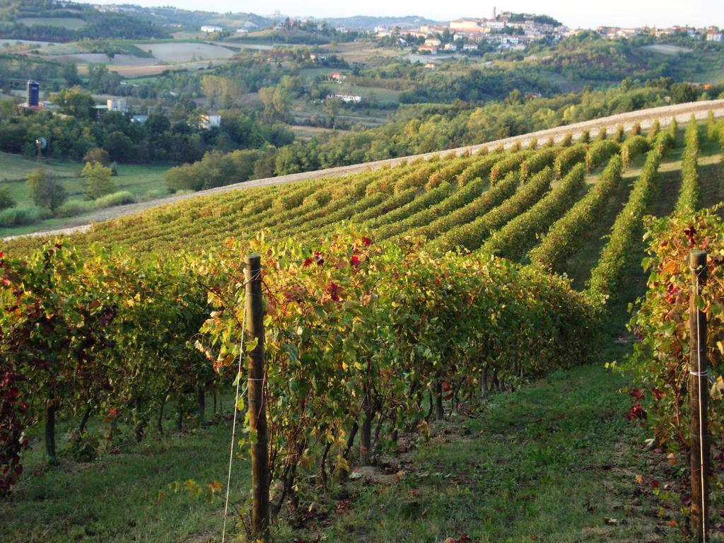 La Commedia Della Pentola Konuk evi Lu (Piedmont) Dış mekan fotoğraf