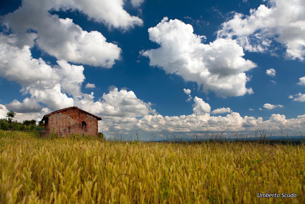 La Commedia Della Pentola Konuk evi Lu (Piedmont) Dış mekan fotoğraf
